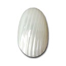 ma1103big_mabe_cabochon_conchiglia_bianca_rigata